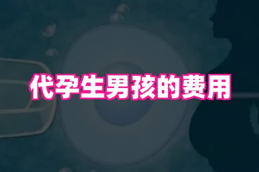 长春助孕网 3